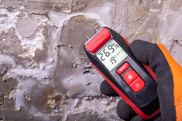 Best Office Mold Removal Services  in Centrevle, IL