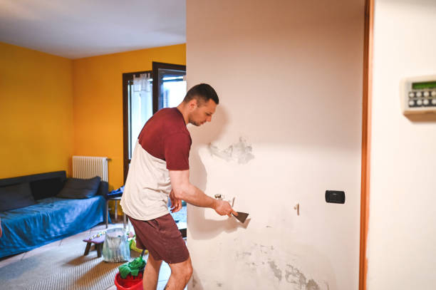 Best Toxic Mold Removal  in Centrevle, IL